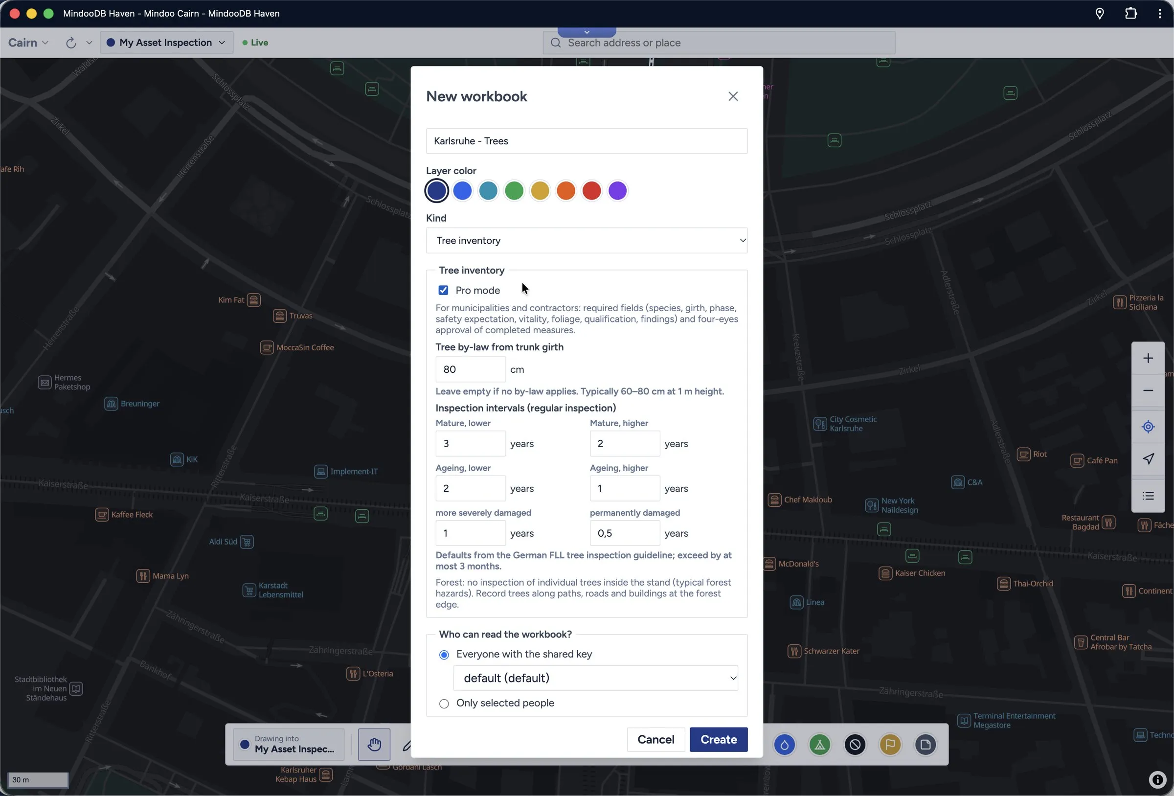 Creating a tree inventory workbook with inspection intervals